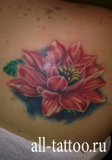Яркая татуировка цветок на лопатке