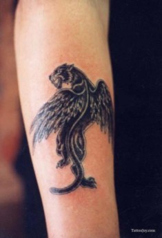 Татуировка на руке черной пантеры с крыльями