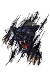Цветной эскиз тату «Черная пантера разрывает когтями реальность»